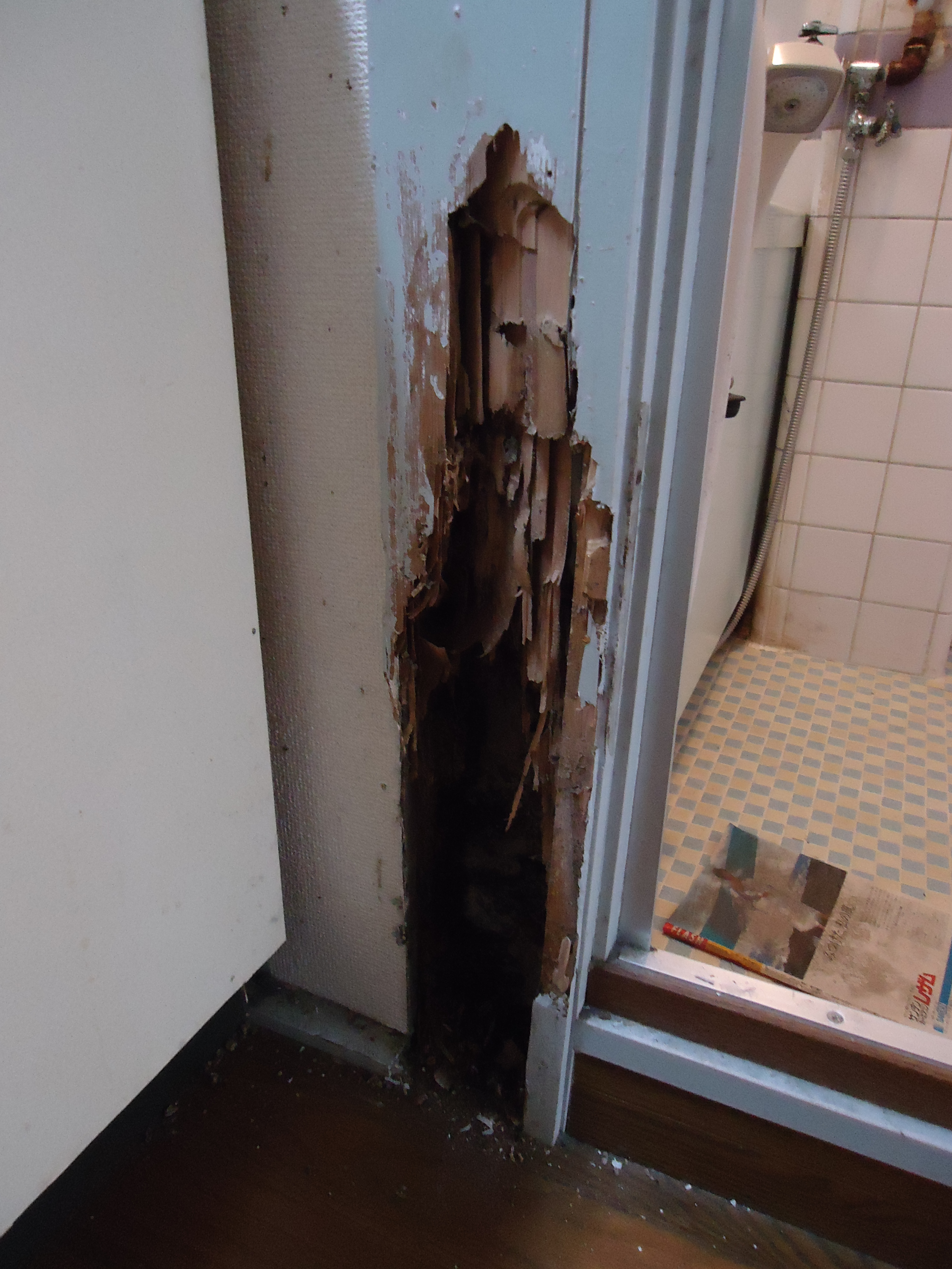 柱がシロアリに食われていました