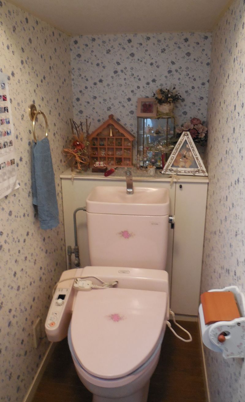 タンク付きトイレの後方に棚がありました