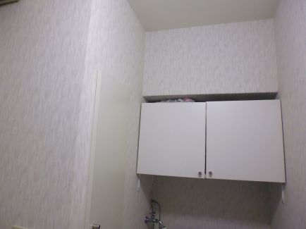 洗面所の吊戸棚は小さいのであまり機能性はありませんでした。
