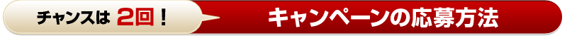 チャンスは2回！キャンペーンの応募方法