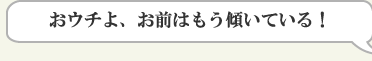 おウチよ、お前はもう傾いている!