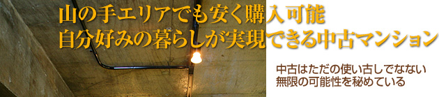 山の手エリアでも安く購入可能自分好みの暮らしが実現できる中古マンション／東京都新宿区在住　Mさん