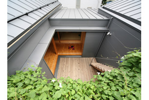 /reform-mitsumori/屋上緑化した緑からの風のぬける平屋のコートハウス。